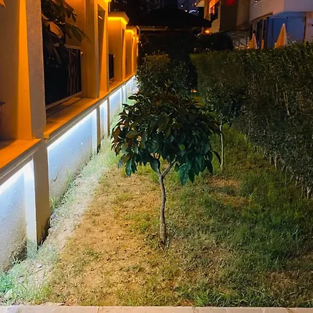 In+ * 알란야